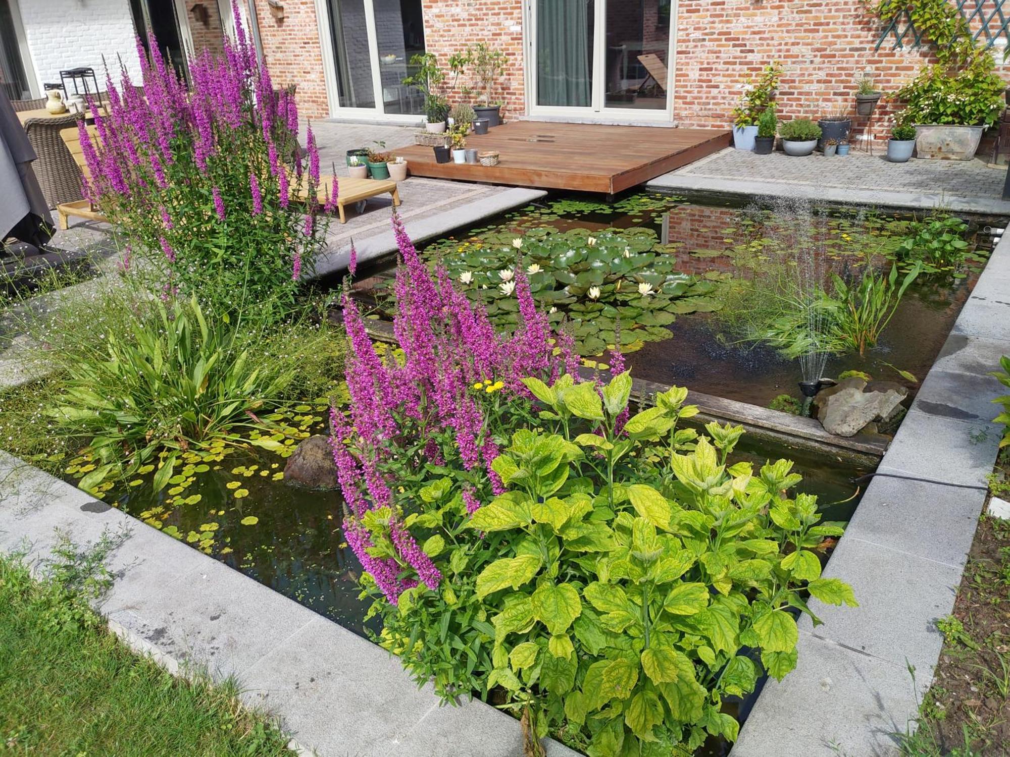 The Two Oaks - Private Garden For Guests Villa Hertsberge Exterior foto