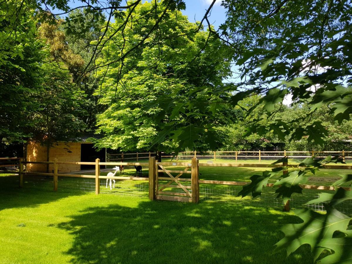 The Two Oaks - Private Garden For Guests Villa Hertsberge Exterior foto